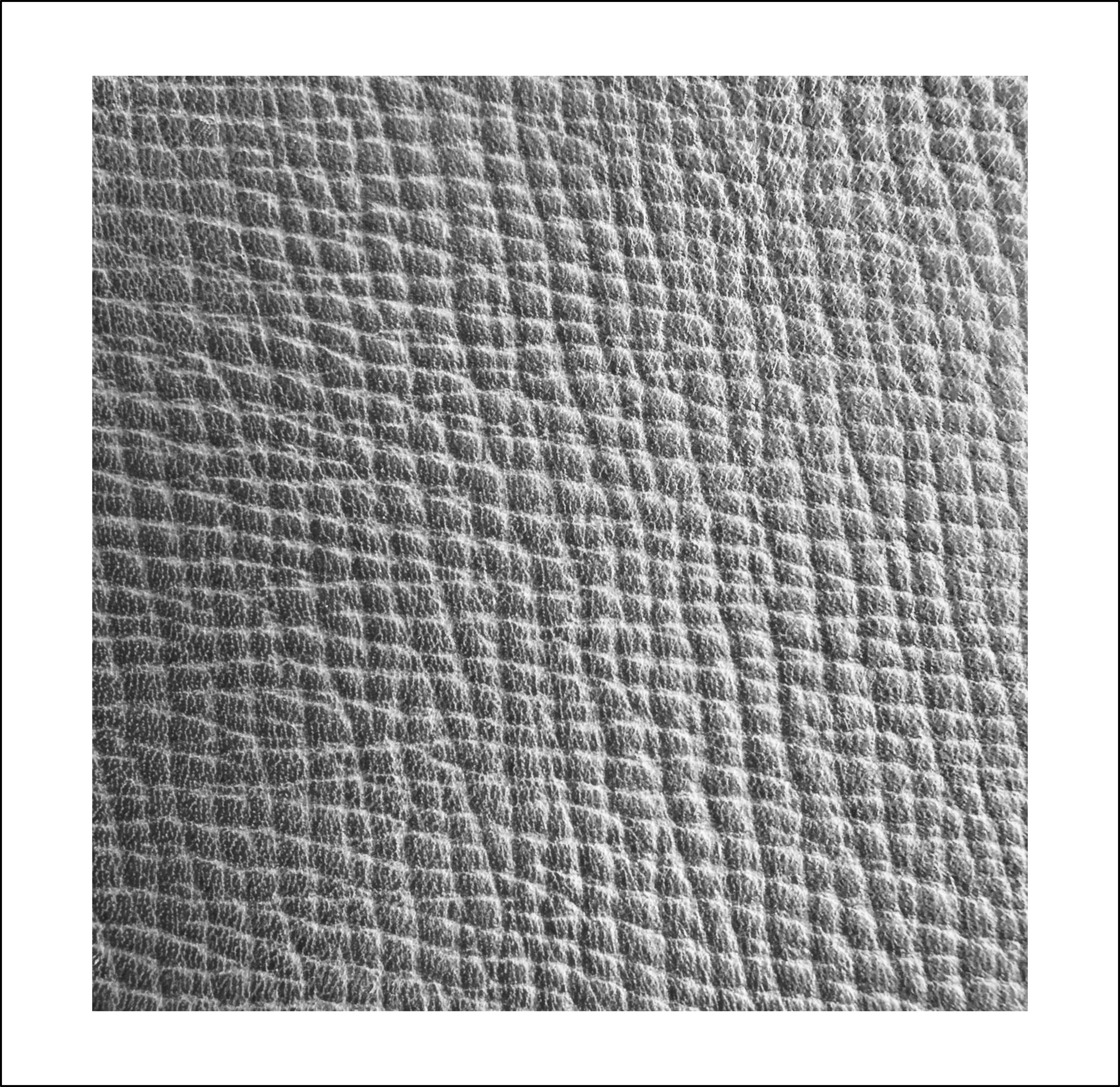 Grained/ Embossed Calf